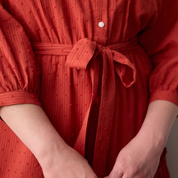 LC Lauren Conrad Rust Colored Dress | Size 4X - NWT - Picture 5 of 9